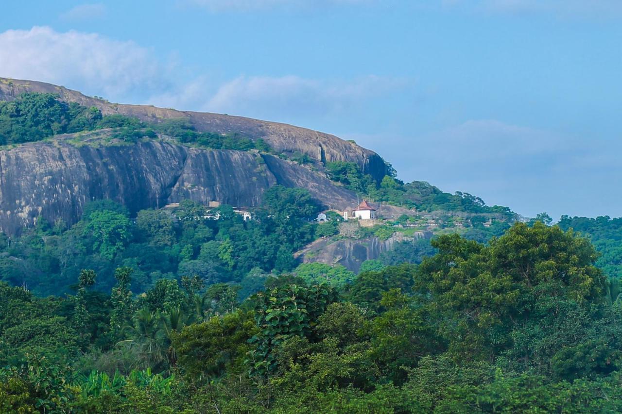 Tropical Life Resort And Spa Dambulla Ngoại thất bức ảnh