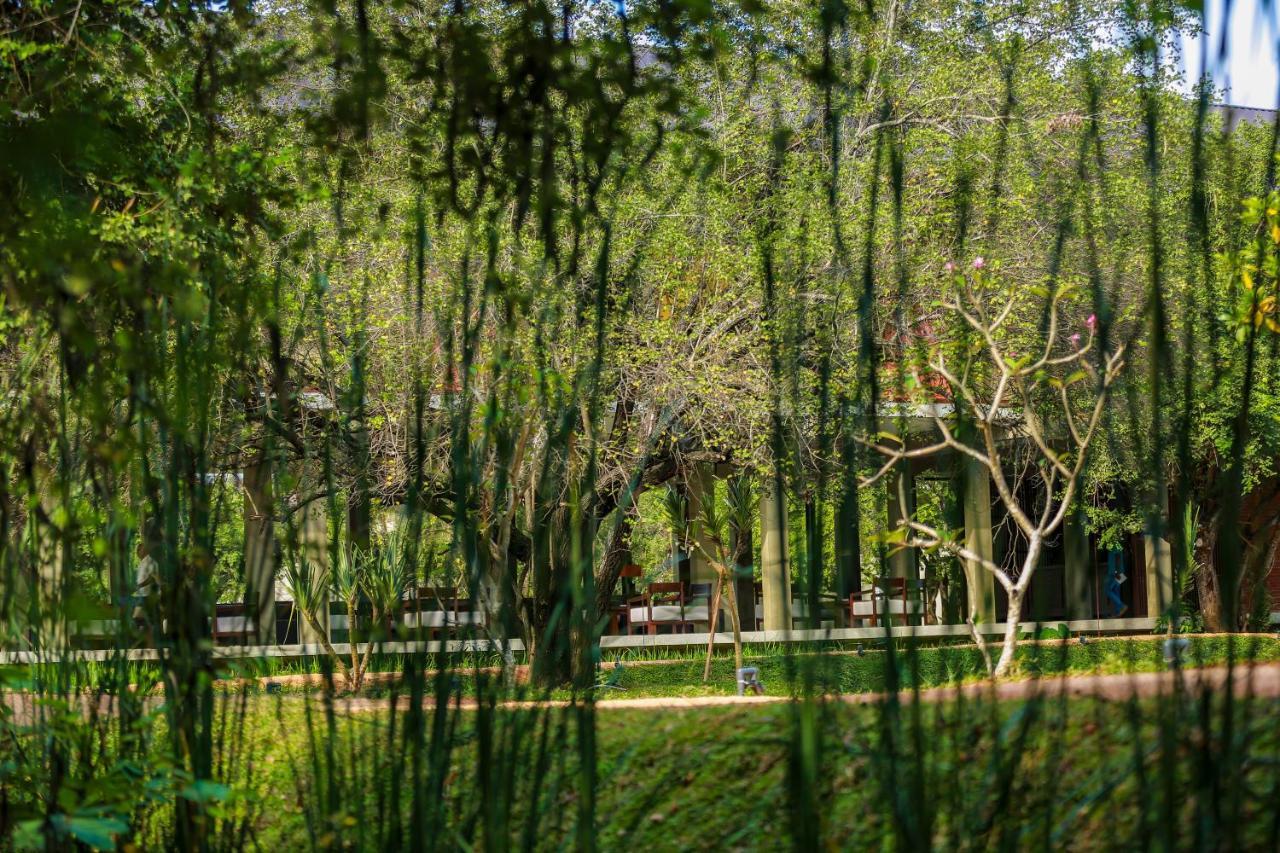 Tropical Life Resort And Spa Dambulla Ngoại thất bức ảnh