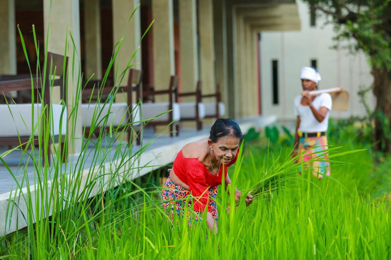 Tropical Life Resort And Spa Dambulla Ngoại thất bức ảnh