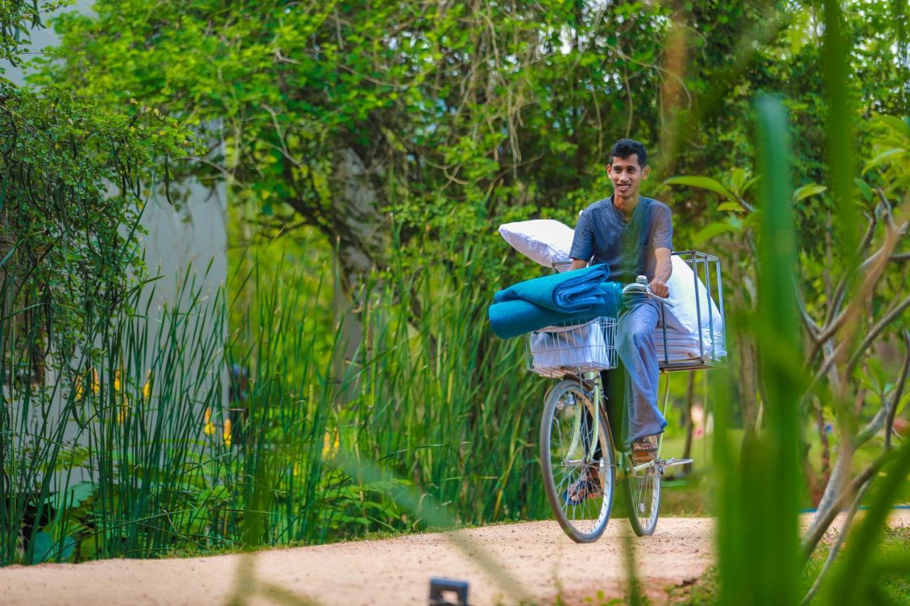 Tropical Life Resort And Spa Dambulla Ngoại thất bức ảnh